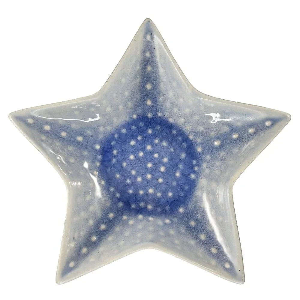 Pier 1 One Stoneware Blue Star Shaped Crackle Bowl